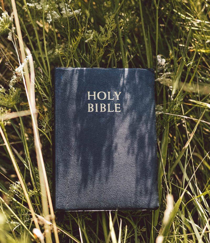 Bible in green grass. Reading the Holy Bible. Concept for faith, spirituality and religion.